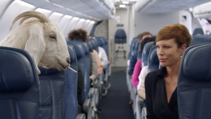 Delta Safety Video features the famous screaming goat