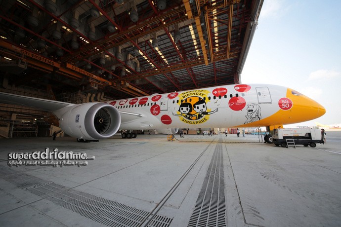 Scoot Dreamliner With SG50 Livery