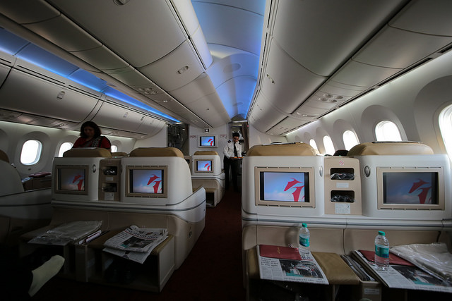 Air India Dreamliner Business Class