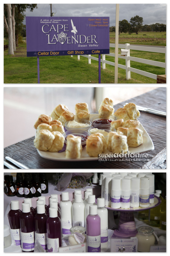 Get your dosage of lavender products and the amazing lavender scones.