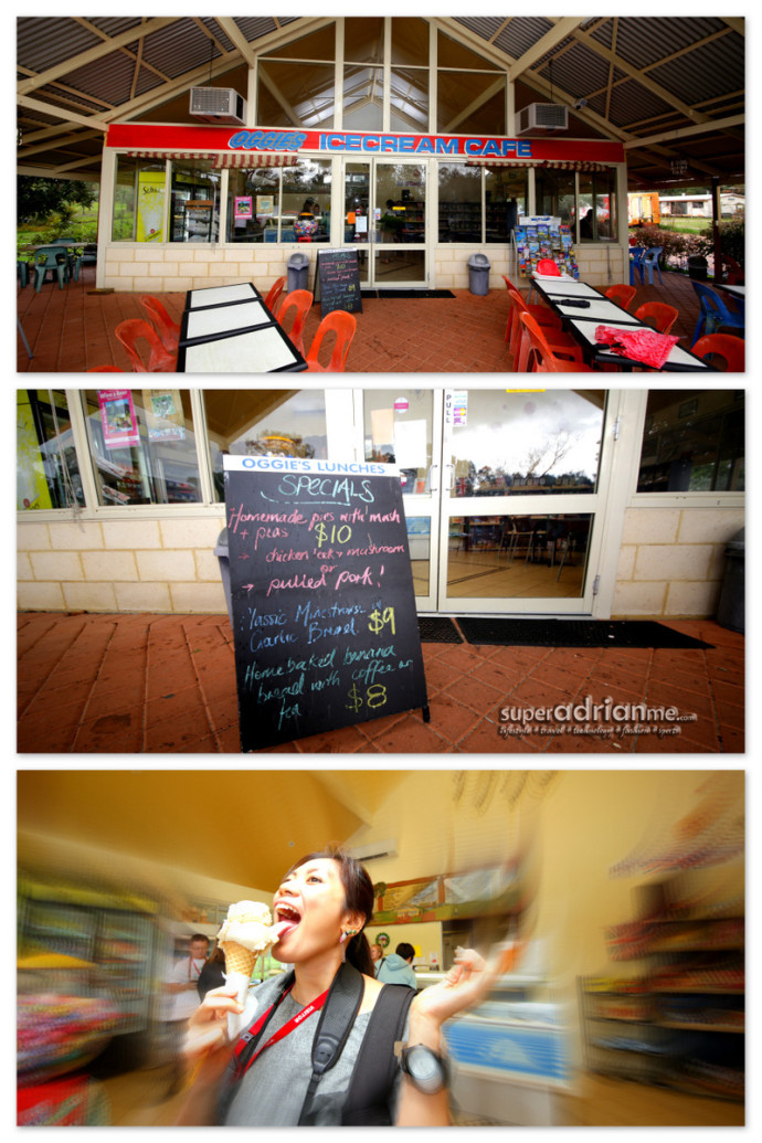 Taste Bud Tours - Oggies Ice Cream Cafe1.Destination Swan Valley4