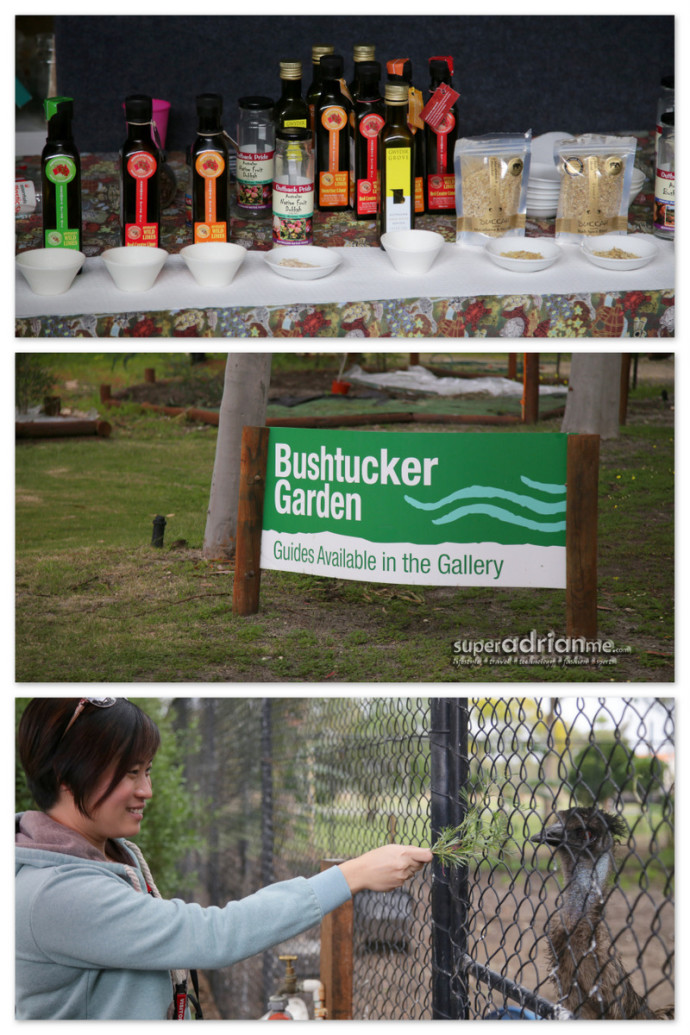 Taste Bud Tours - Bushtucker