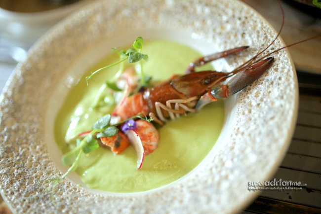 Open Farm Community - Chilled Avocado and Ginger Soup with Poached Yabbies (S$20)