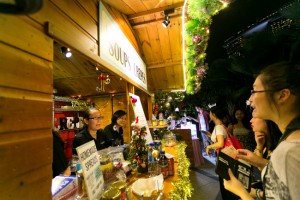 Gardens By The Bay Christmas Wonderland 2015 – What To Expect? | SUPERADRIANME.com