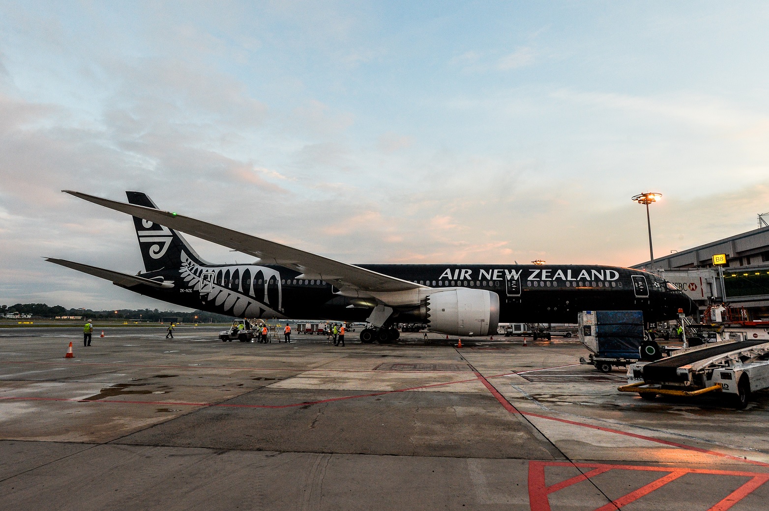 787 Air New Zealand. Boeing 787-9 Air New Zealand. Самолёт Боинг 787 Air newzeland. Air New Zealand Дримлайнер.