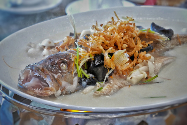 Steamed Red Grouper