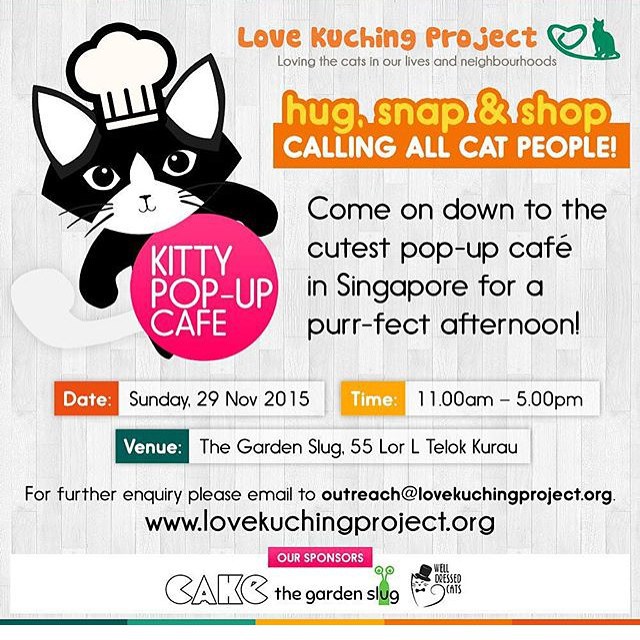 Love Kuching Project - Singapore's First Pop-up Cat Cafe
