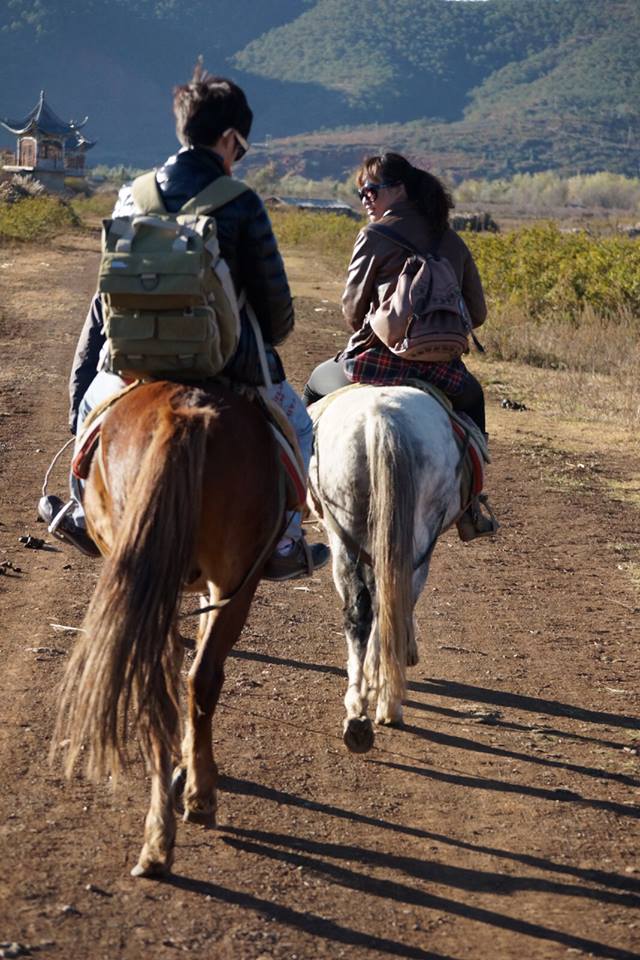 Go on a Tea Horse Trail