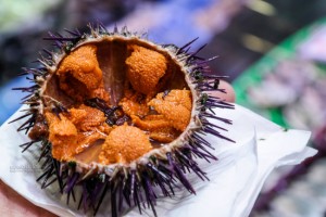 Fresh Sea Urchin at South Melbourne Market