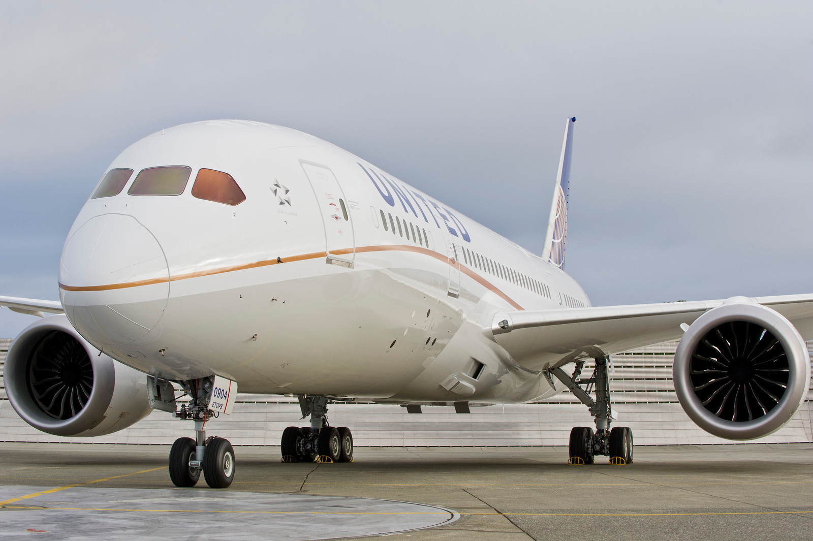 United 787 Dreamliner (United Photo)