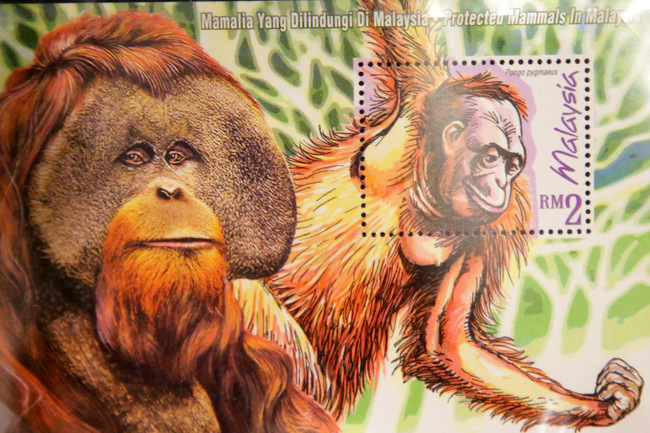 Learn about the world of primates at the MORE THAN MONKEYS exhibition at the Singapore Philatelic Museum