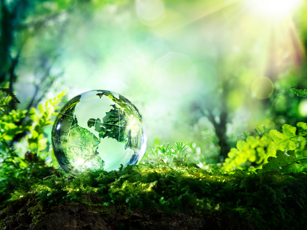 Our Environment (shutterstock image)