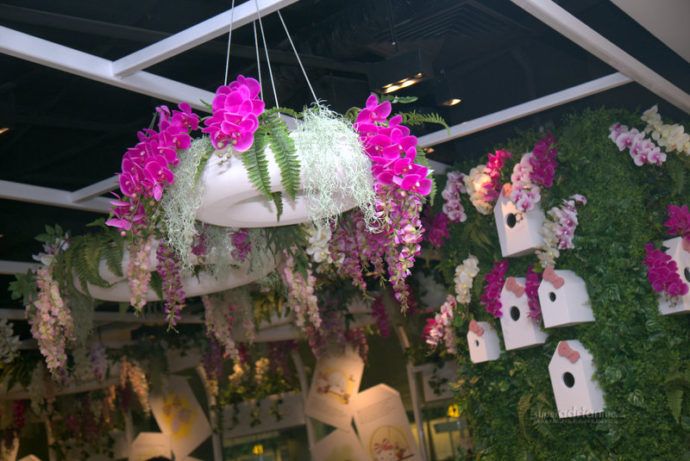 Orchids and foliage in the Hello Kitty Orchid Garden Cafe