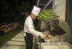 The chef comes to your villa to prepare and bbq your seafood for dinner