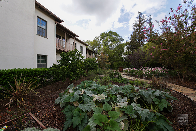 The Herb Garden at The Langham Huntington Pasadena.