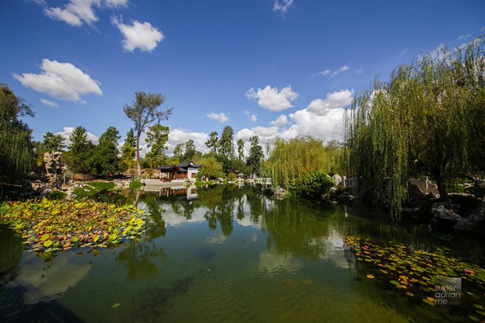 The Chinese Garden at The Huntington Library Botanical Garden in Pasadena, Los Angeles.