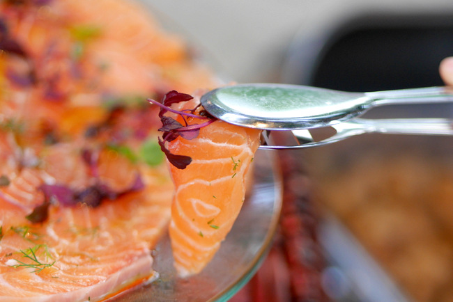 Salmon with Citrus and Dill