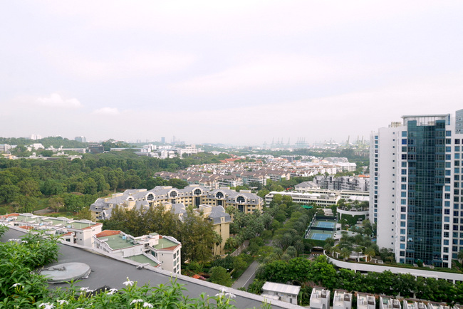 The view from the rooftop of Oasia Residences.