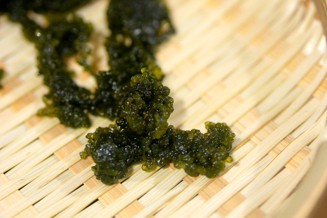 Meal Belly grows their green caviar in Vietnam, where the conditions are specifically adjusted to match those in Okinawa, Japan. Here is an example of how they look like straight out of the vacuum-sealed packets.