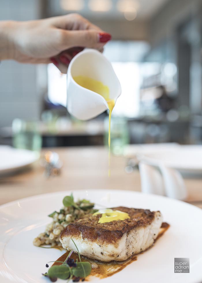 Barramundi at SKY22