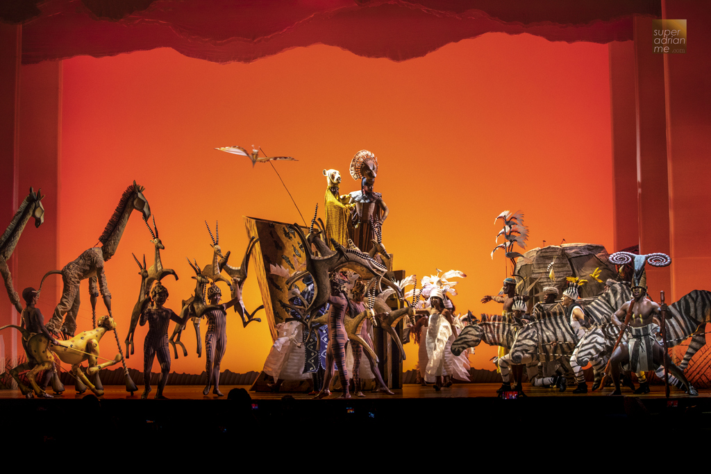 download the lion king broadway circle of life