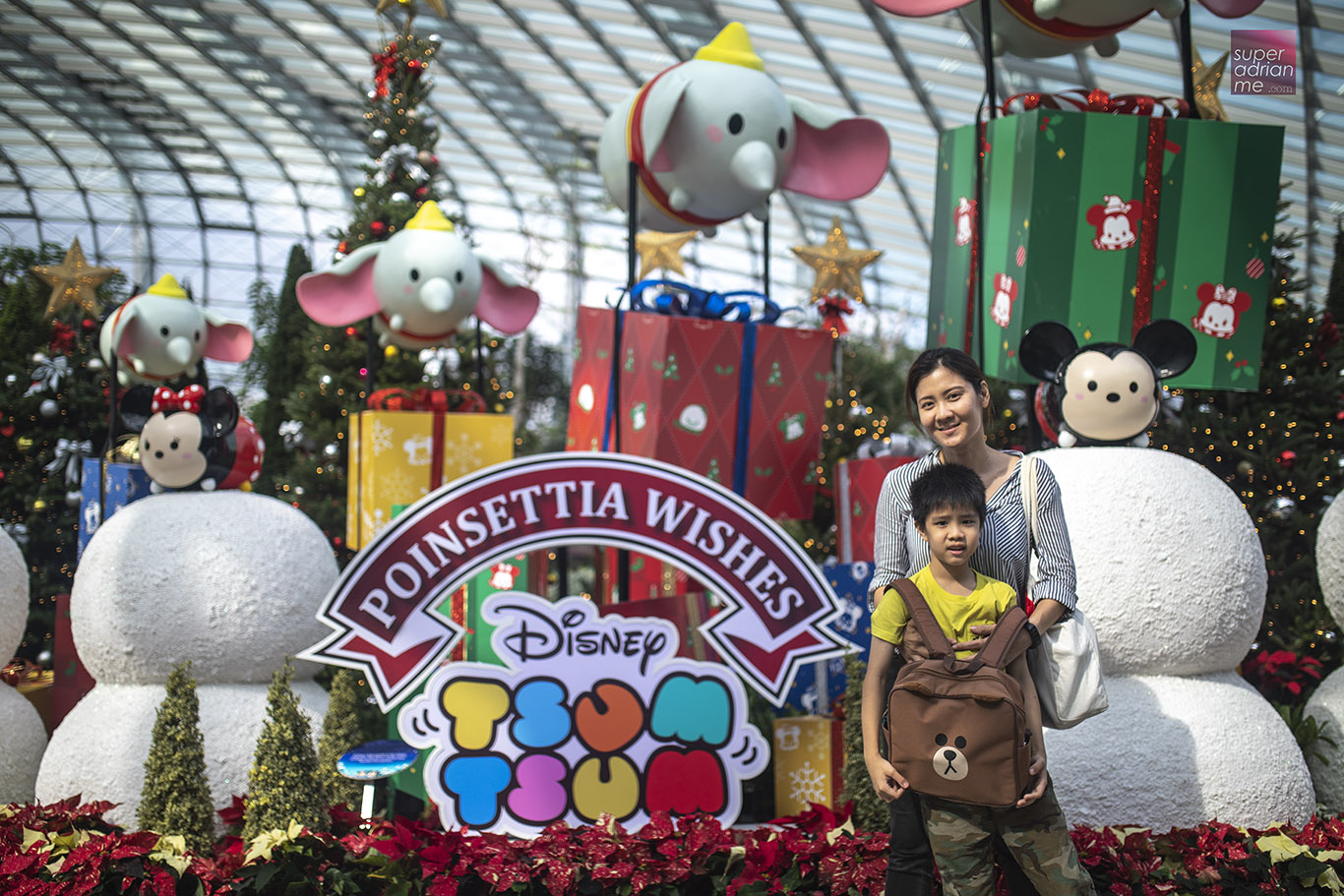 Poinsettia Wishes featuring Disney Tsum Tsum at Gardens by The Bay till 6 January 2019