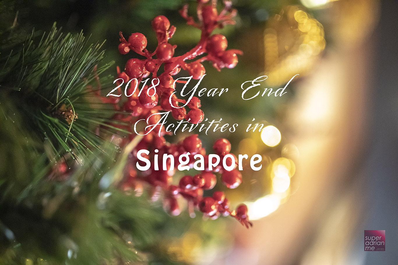 2018 Year End Activities in Singapore