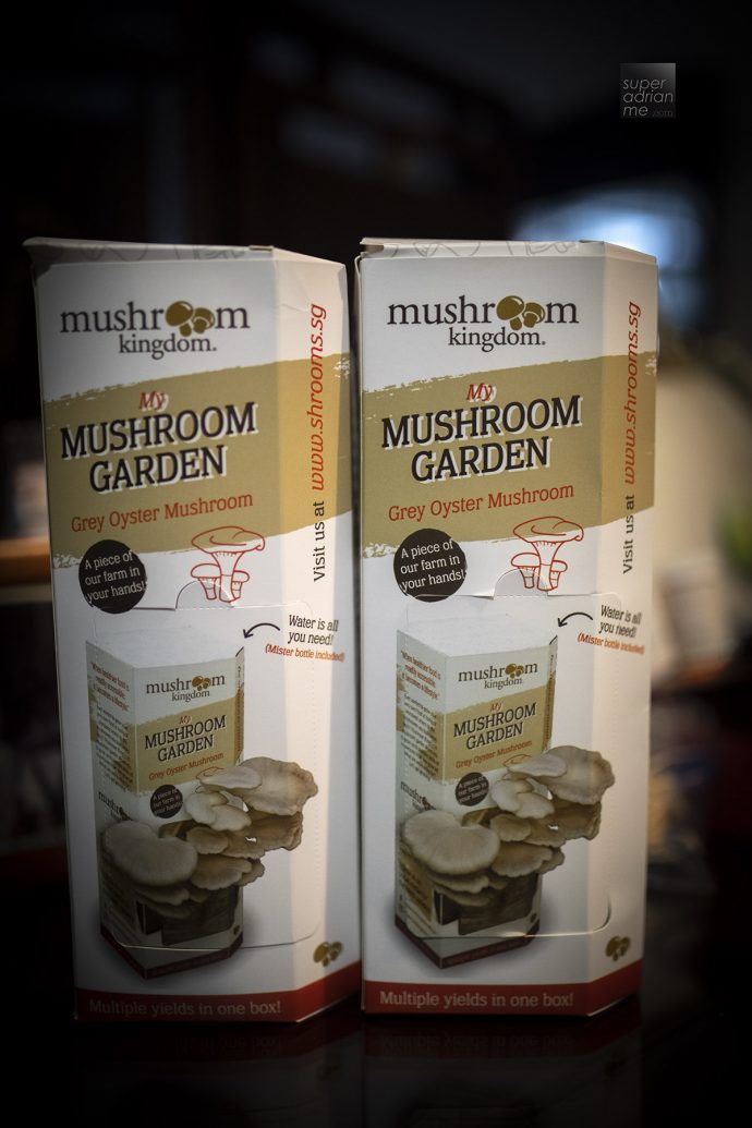 Mushroom Kingdom's "My Mushroom Garden" Grow Kit (S$17.90)