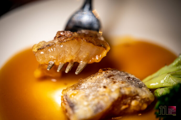 Paradise Teochew at Ngee Ann City - Braised Crisp-fried Sea Cucumber with Superior Abalone Sauce