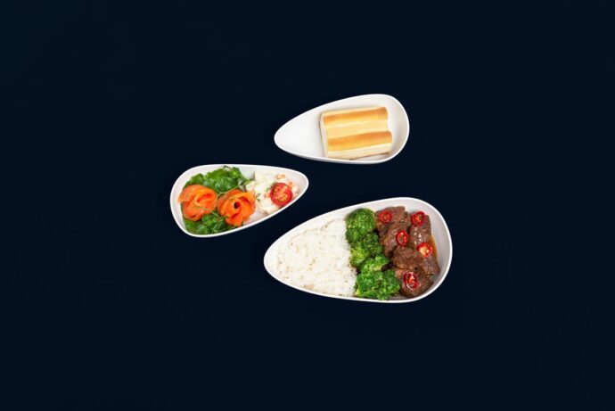 Premium Economy Inflight Meal (Air Premia photo)