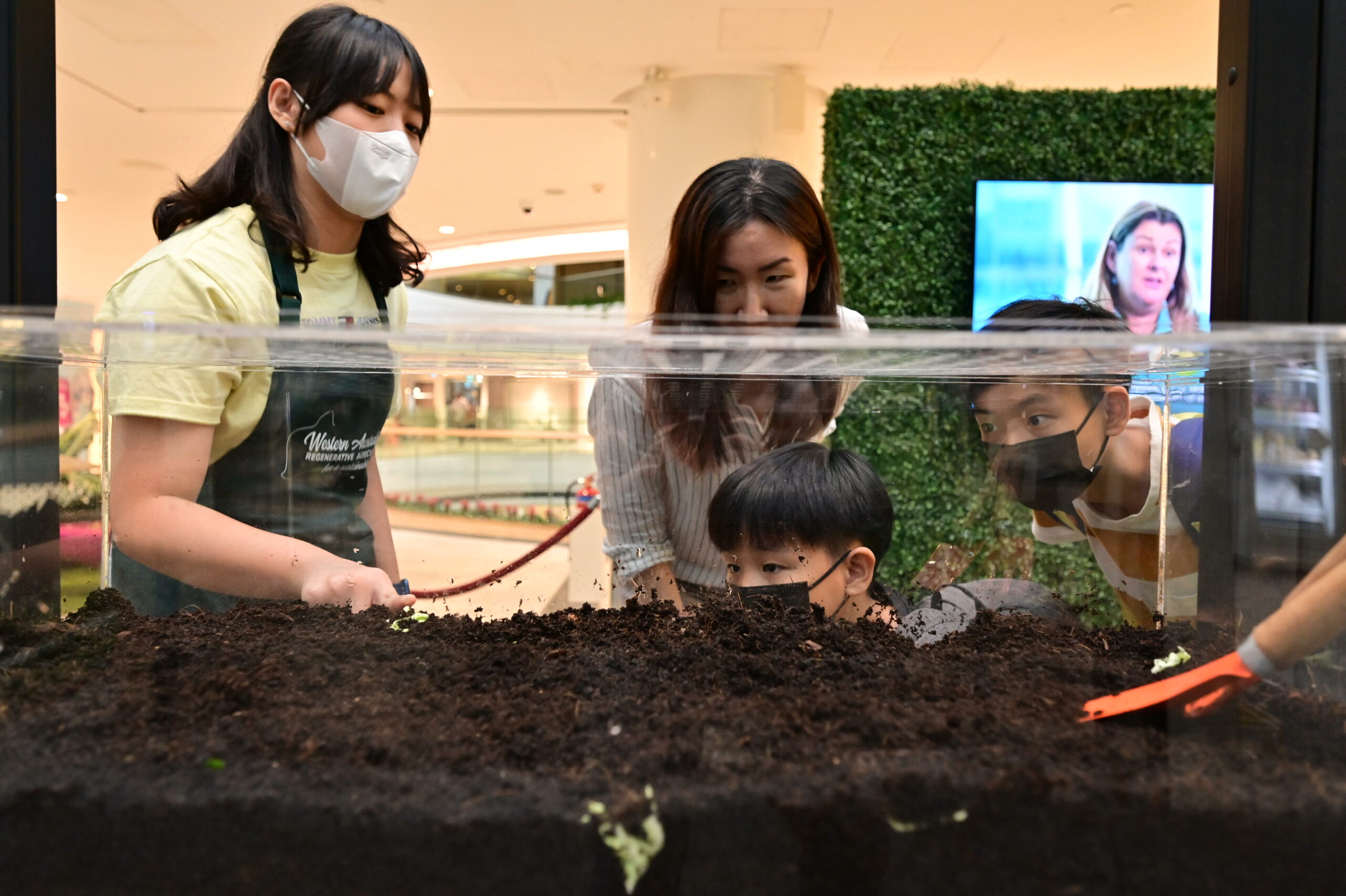 Earthworm display (DPIRD, WA. photo)