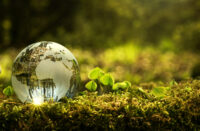 Environment conservation concept. Close up of glass globe in the forest with copy space