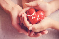 adult and child hands holiding red heart, health care, organ donation, family insurance concept