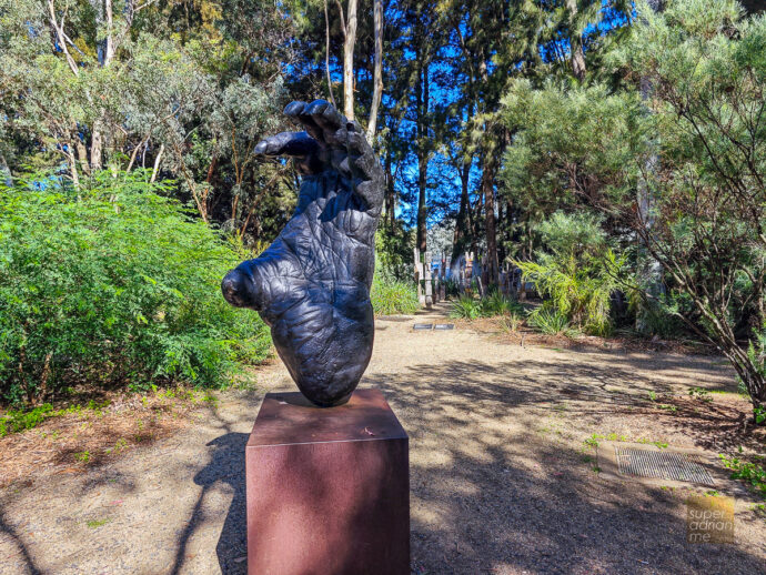 Canberra-Lake-Burley-Griffin-Australian-artist-Lisa-Roet-Orangutan-Foot-