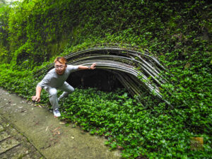 Shot in Chiayi County in Taiwan - Long Yun Leisure Farm 2023