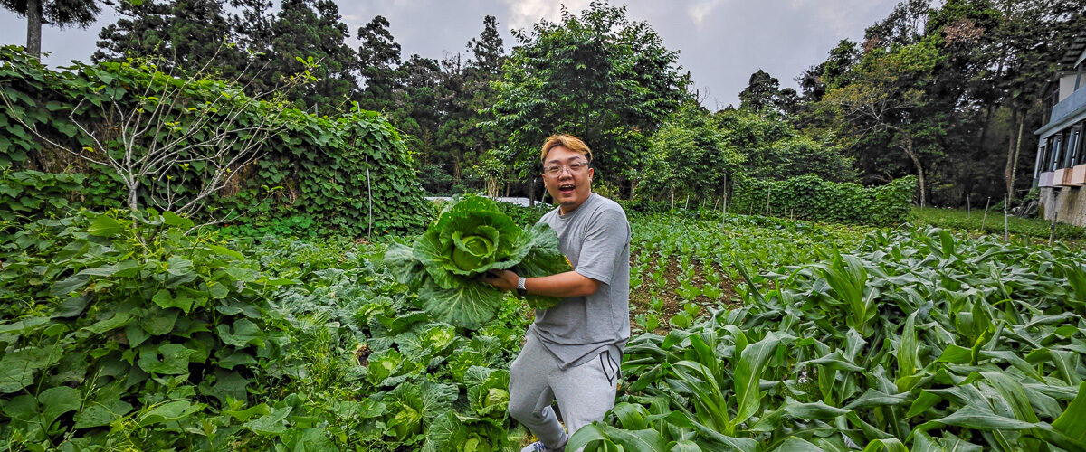 Taiwan - Chiayi-Long Yun Farm Stay -173307