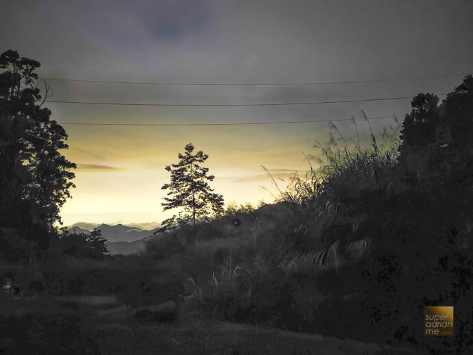 Go on a night hike in search of Fireflies at Long Yun Leisure Farm in Chiayi County, Taiwan - May 2023