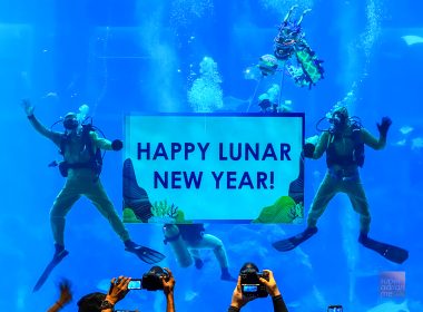 Experience the Underwater Dragon Dance Presentation at the Open Ocean Habitat