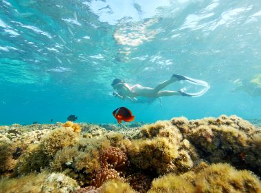 Plantation Island Resort - Snorkelling