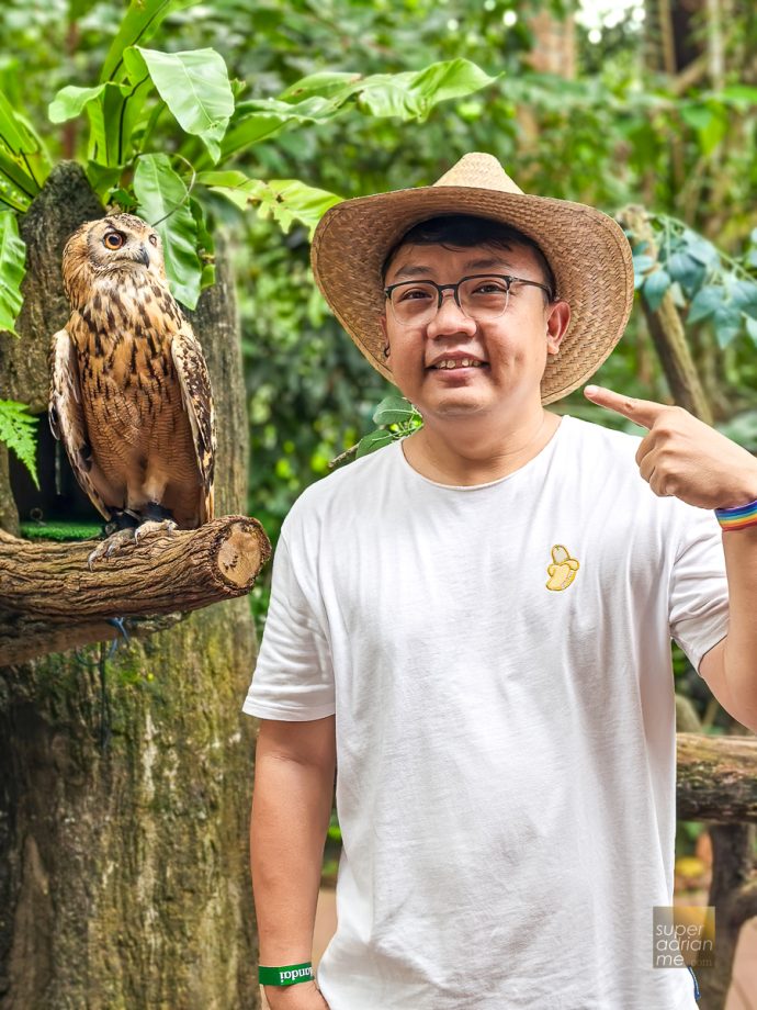 Singapore Zoo - Breakfast in the Wild - Interactions with Animal Ambassadors 