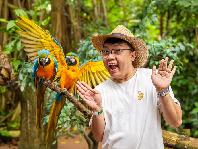 Singapore Zoo - Breakfast in the Wild - Interactions with Animal Ambassadors 