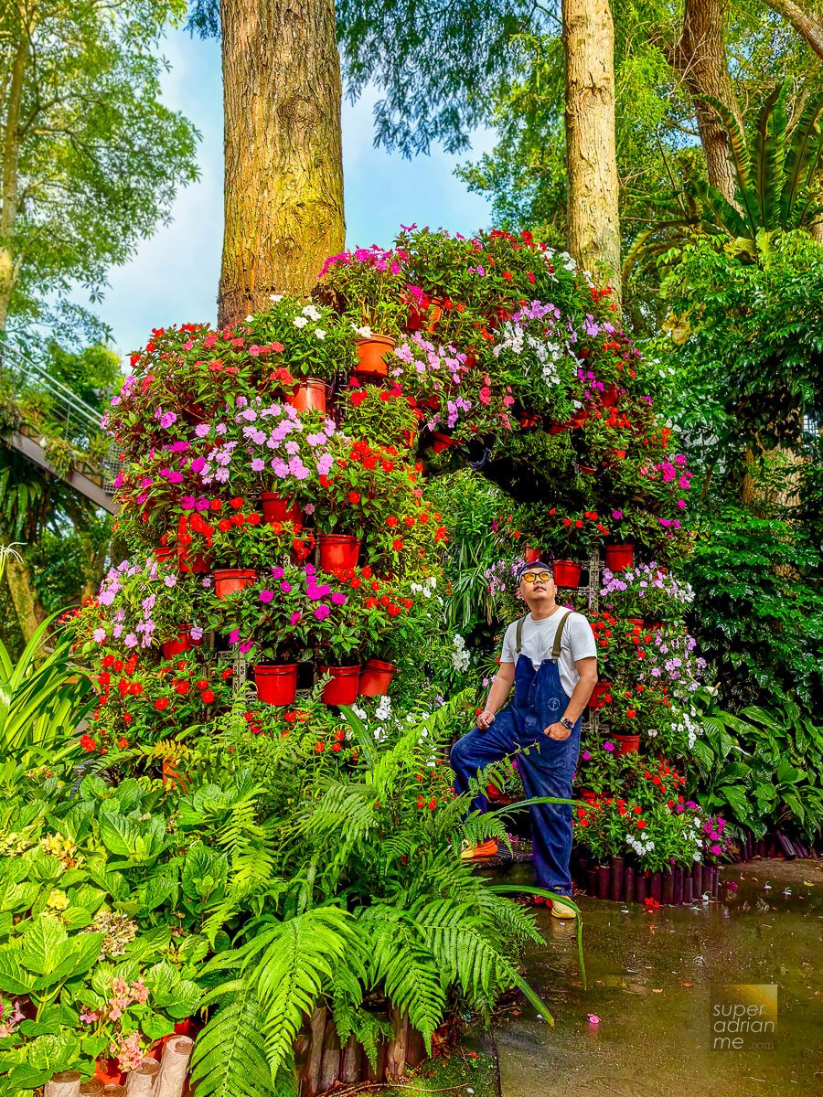 花露休閒農場 Flower Home in Miaoli Taiwan