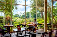Breakfast with a view at 花露休閒農場 Flower Home, Miaoli County, Taiwan
