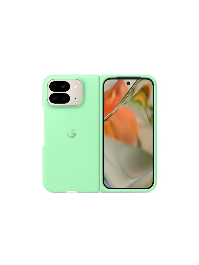 Pixel 9 Pro Fold Case Aloe (Google photo)