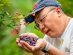 Blueberry Orchard at Sheipa Leisure Farm in Taiwan - July 2024