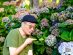 Beautiful Hydrangeas in Shiepa Leisure Farm in Taiwan