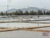 PUTIAN - Putian Salt Fields - April 2025
