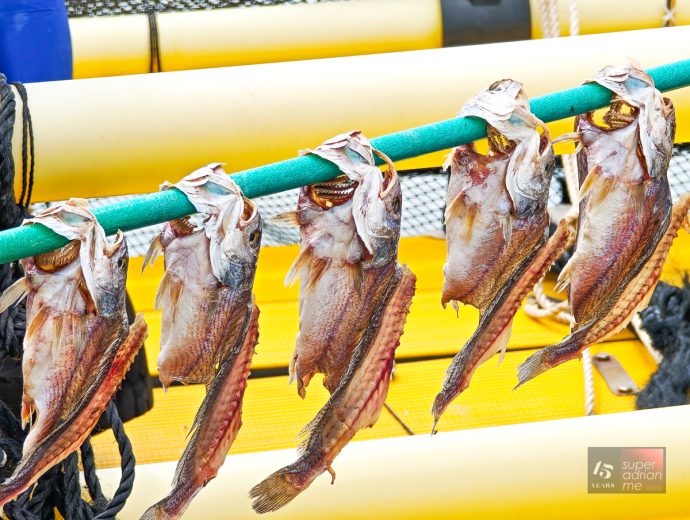 PUTIAN - Yellow Croaker Fish Farm - April 2025 - -1 | SUPERADRIANME.com Sun Dried Yellow Croaker