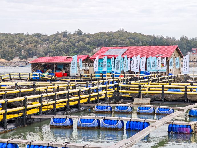 PUTIAN - Yellow Croaker Fish Farm - April 2025 - -095442 | SUPERADRIANME.com Yellow Croaker Farm in Putian