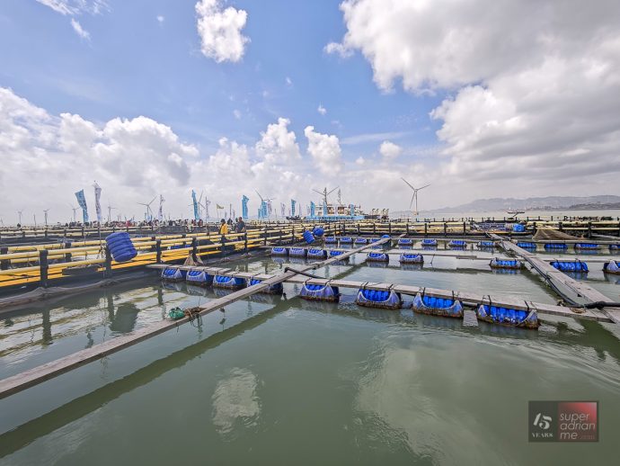 PUTIAN - Yellow Croaker Fish Farm - April 2025 - -101624 | SUPERADRIANME.com Yellow Croaker Farm
